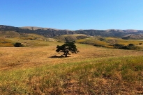 18. Ranch