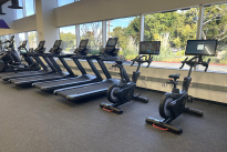 79. Gym