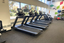 87. Gym