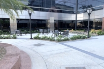 28. Exterior