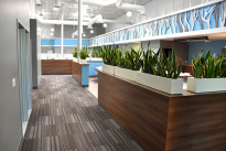 25. Lobby