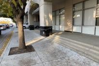 888 Walnut