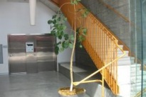 Hancock Lofts