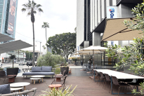 15. Plaza