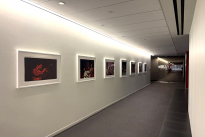 39. Lobby