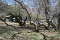 32. Exterior