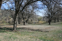 34. Exterior