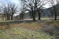 42. Exterior