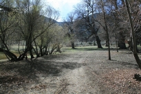 55. Exterior
