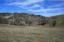 72. Exterior