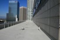 550 South Hope