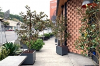 8. Patio