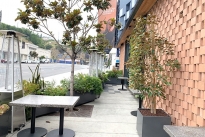 5. Patio