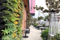 6. Patio