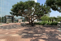 24. Exterior