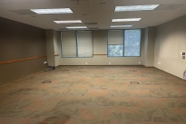 81. Suite 100