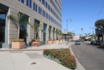 5. Exterior
