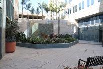 17. Exterior