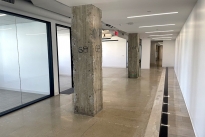 81. Suite 850