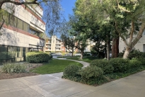 1. Plaza