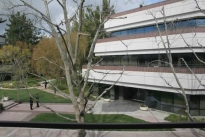 14. Plaza