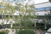 18. Plaza