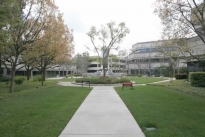 10. Plaza