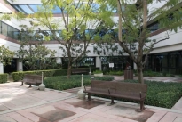 19. Plaza