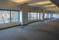 34.  Suite 201