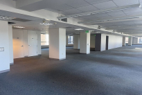 42. Suite 401