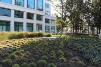 8. Exterior
