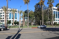 12. Exterior