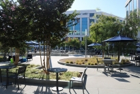 54. Plaza