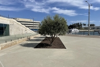 121. 330 Bldg Lwr Lby Plaza