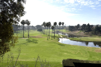 213. 9 Hole Golf Course 