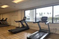 156. Gym