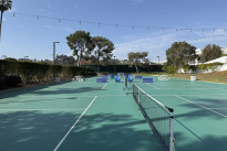 201. Pickle Ball Court