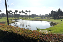 210. 9 Hole Golf Course 