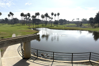 209. 9 Hole Golf Course 