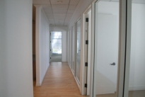 15. Suite 241