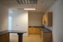 19. Suite 241