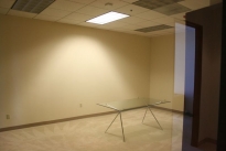24. Suite 242