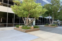 12. Plaza
