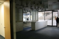 55. Suite 117