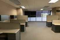 59. Suite 125