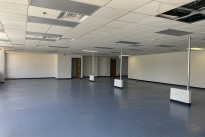 131. Suite 213