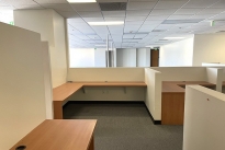 135. Suite 213