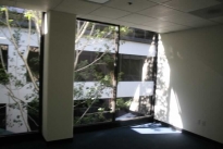 171. Suite 299