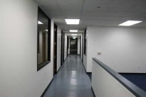 169. Suite 299