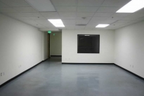 174. Suite 299